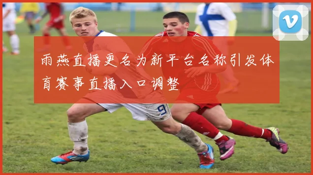 雨燕直播更名为新平台名称引发体育赛事直播入口调整