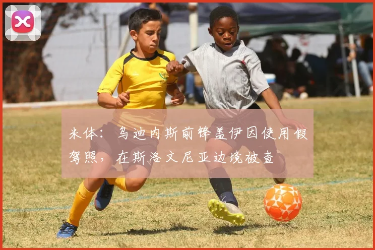 米体：乌迪内斯前锋盖伊因使用假驾照，在斯洛文尼亚边境被查