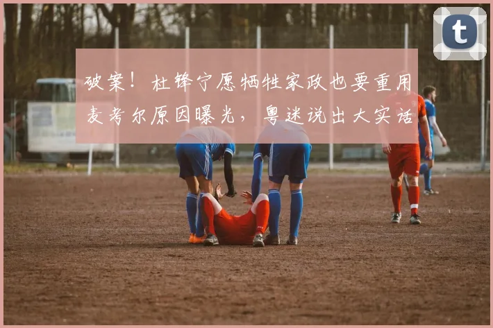 破案！杜锋宁愿牺牲家政也要重用麦考尔原因曝光，粤迷说出大实话