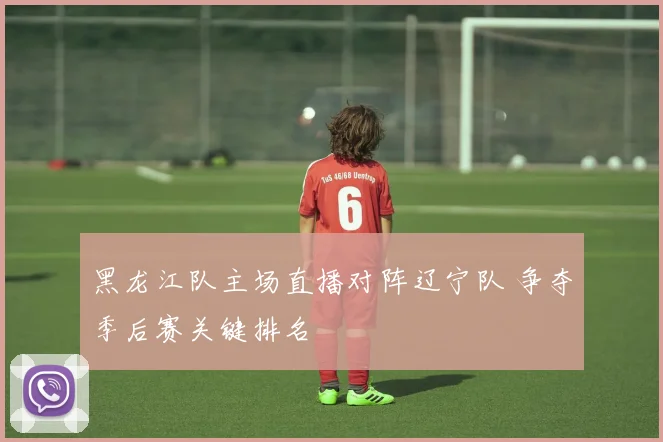 黑龙江队主场直播对阵辽宁队 争夺季后赛关键排名