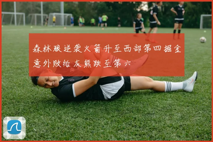 森林狼逆袭火箭升至西部第四掘金意外败给灰熊跌至第六