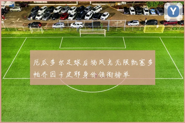 厄瓜多尔足球后场风光无限凯塞多帕乔因卡皮耶身价领衔榜单