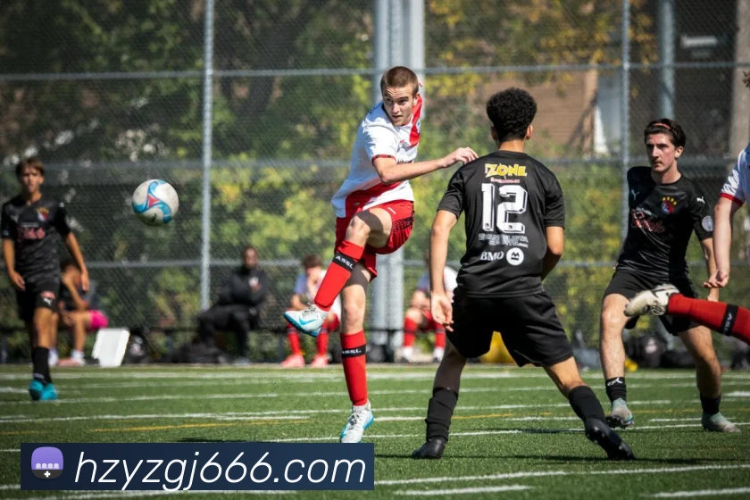 米兰在线登陆服务体系